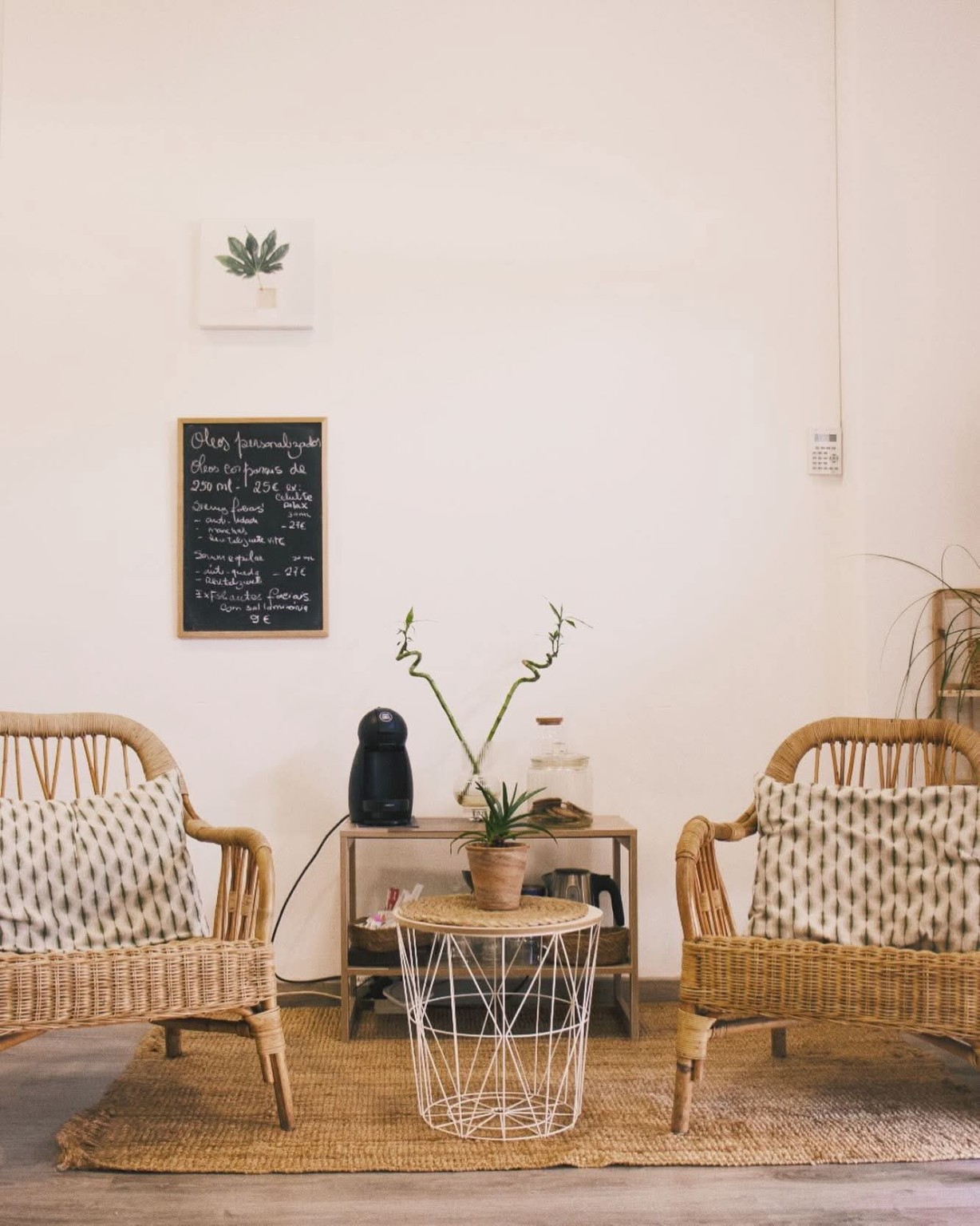 Receção da Sinergia, com cadeiras de verga, plantas e tons naturais